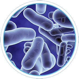 Antimicrobial Equiped